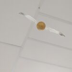 PXL_20260423_060356446